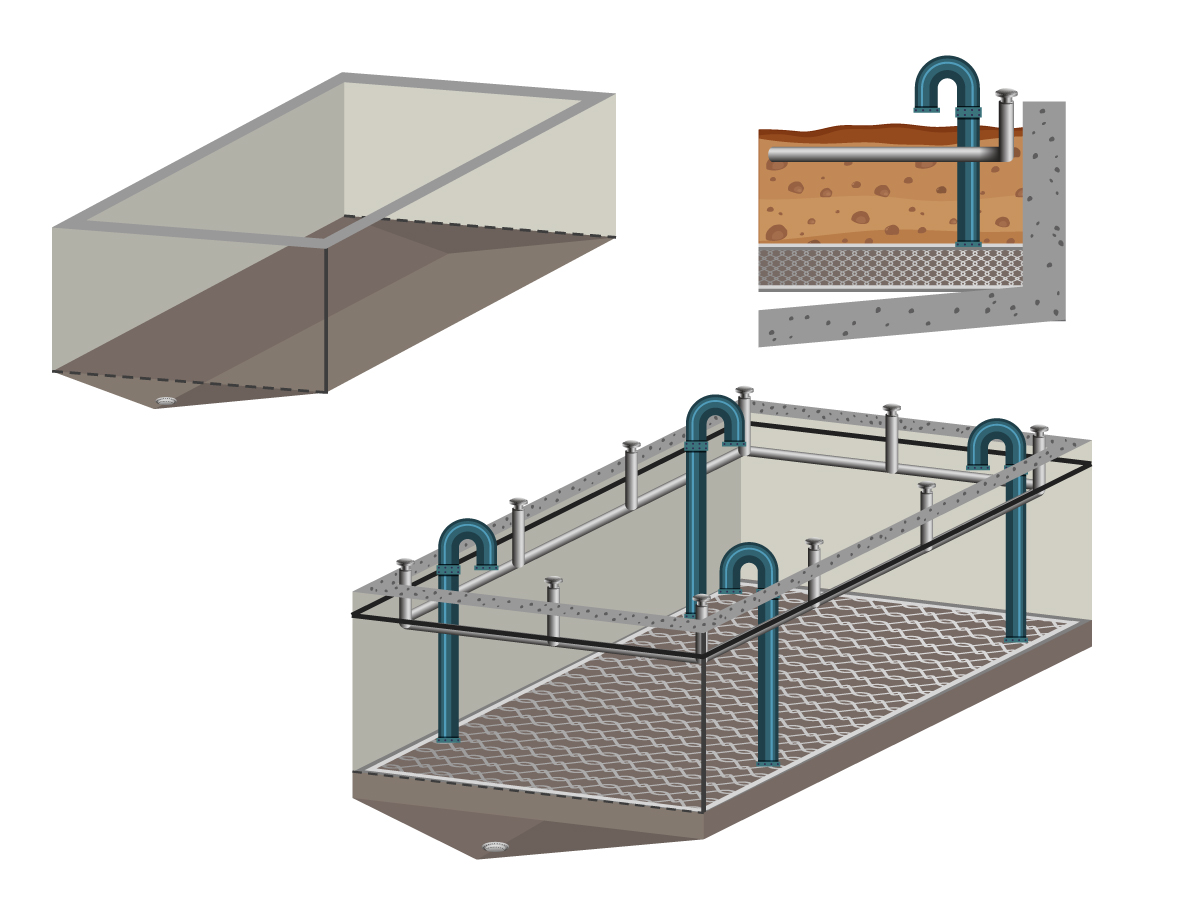 Wormbed---illustration