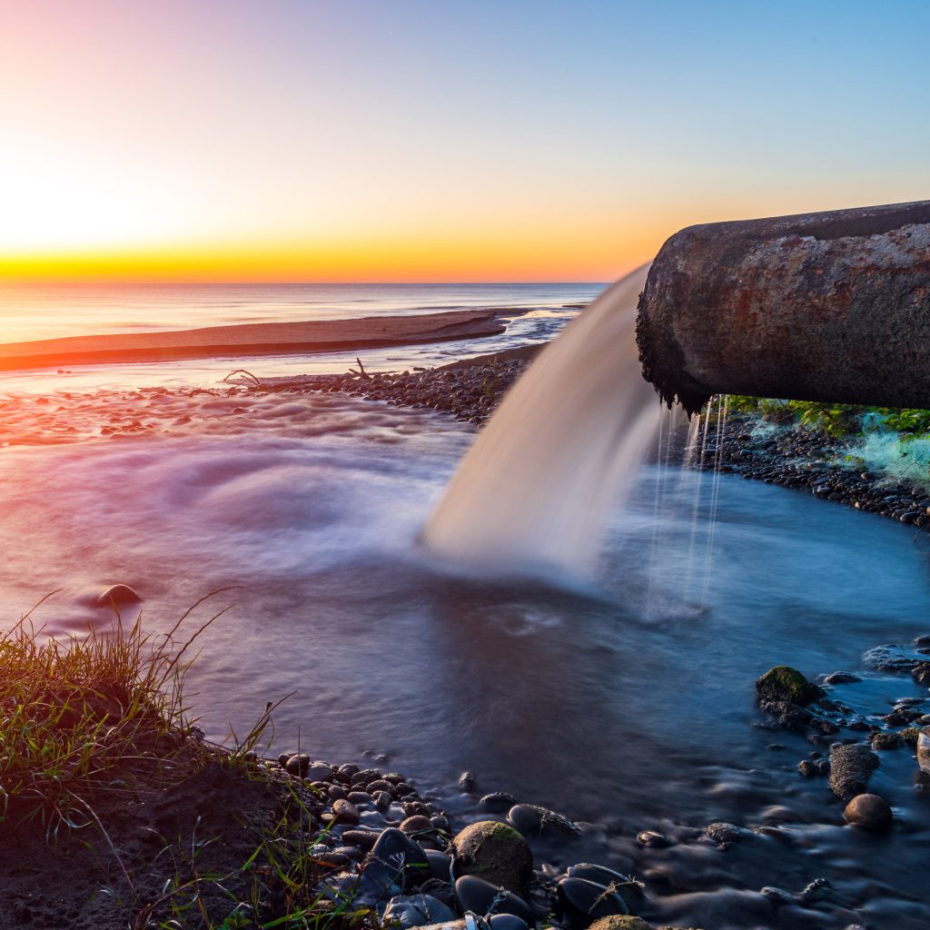 wastewater treatment worm