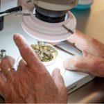 natural wastewater treatment