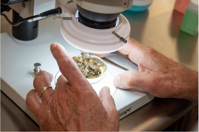 natural wastewater treatment